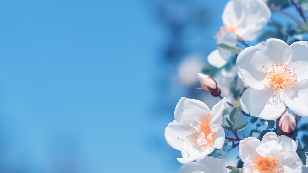 Spring Into Pool Season